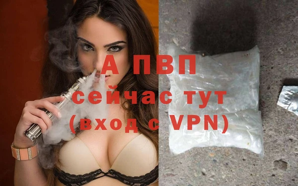 гидропоника Белокуриха