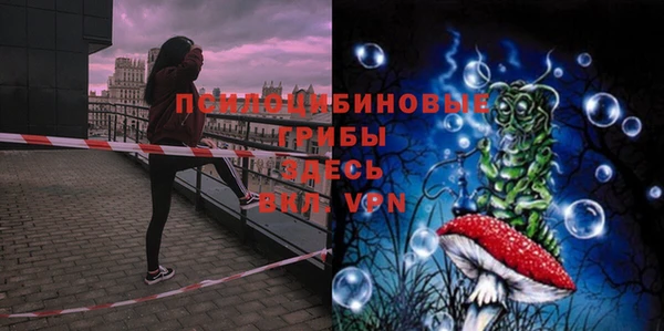 гидропоника Белокуриха