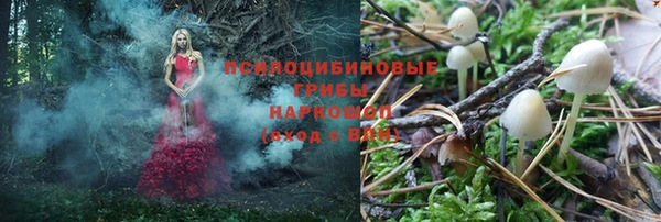 гидропоника Белокуриха