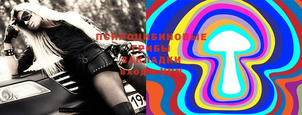 гидропоника Белокуриха