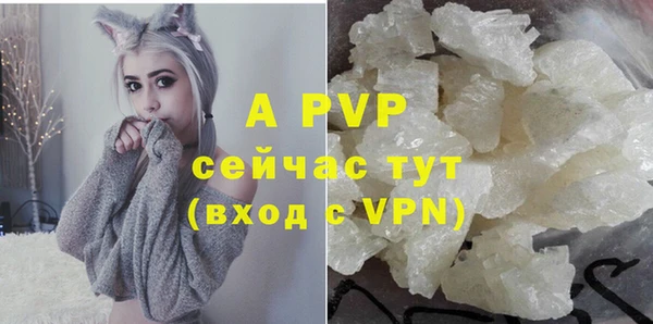 ПСИЛОЦИБИНОВЫЕ ГРИБЫ Белоозёрский