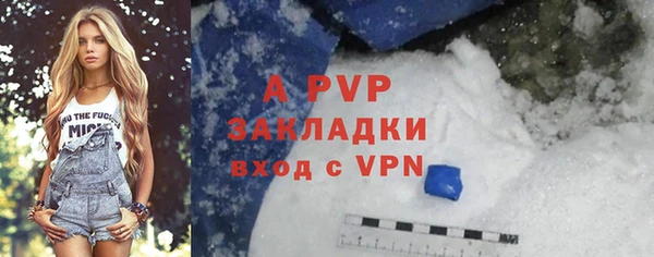 ПСИЛОЦИБИНОВЫЕ ГРИБЫ Белоозёрский